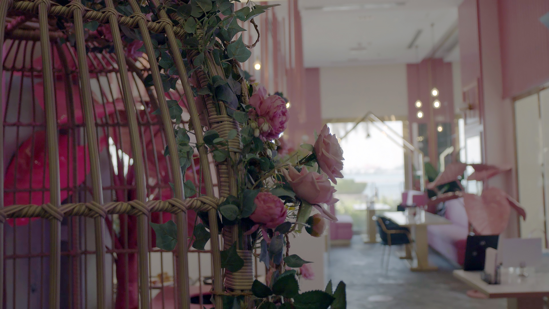 Visit Qatar Attraction Details